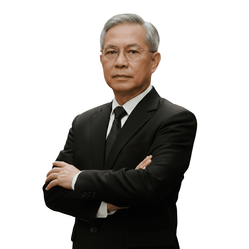 Judicial Debt Collection